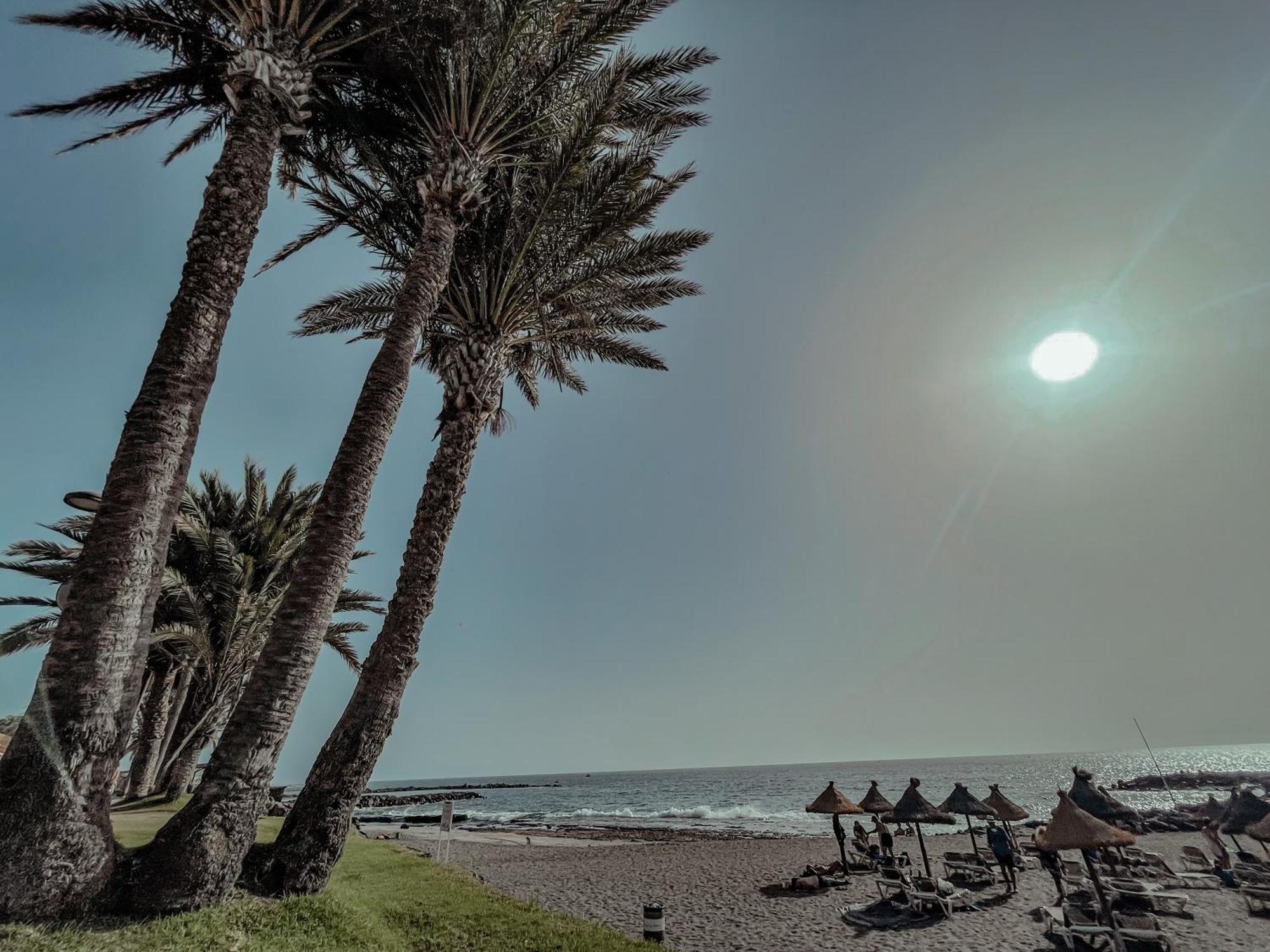 Viktoria Sur Apartment Playa de las Americas  Luaran gambar